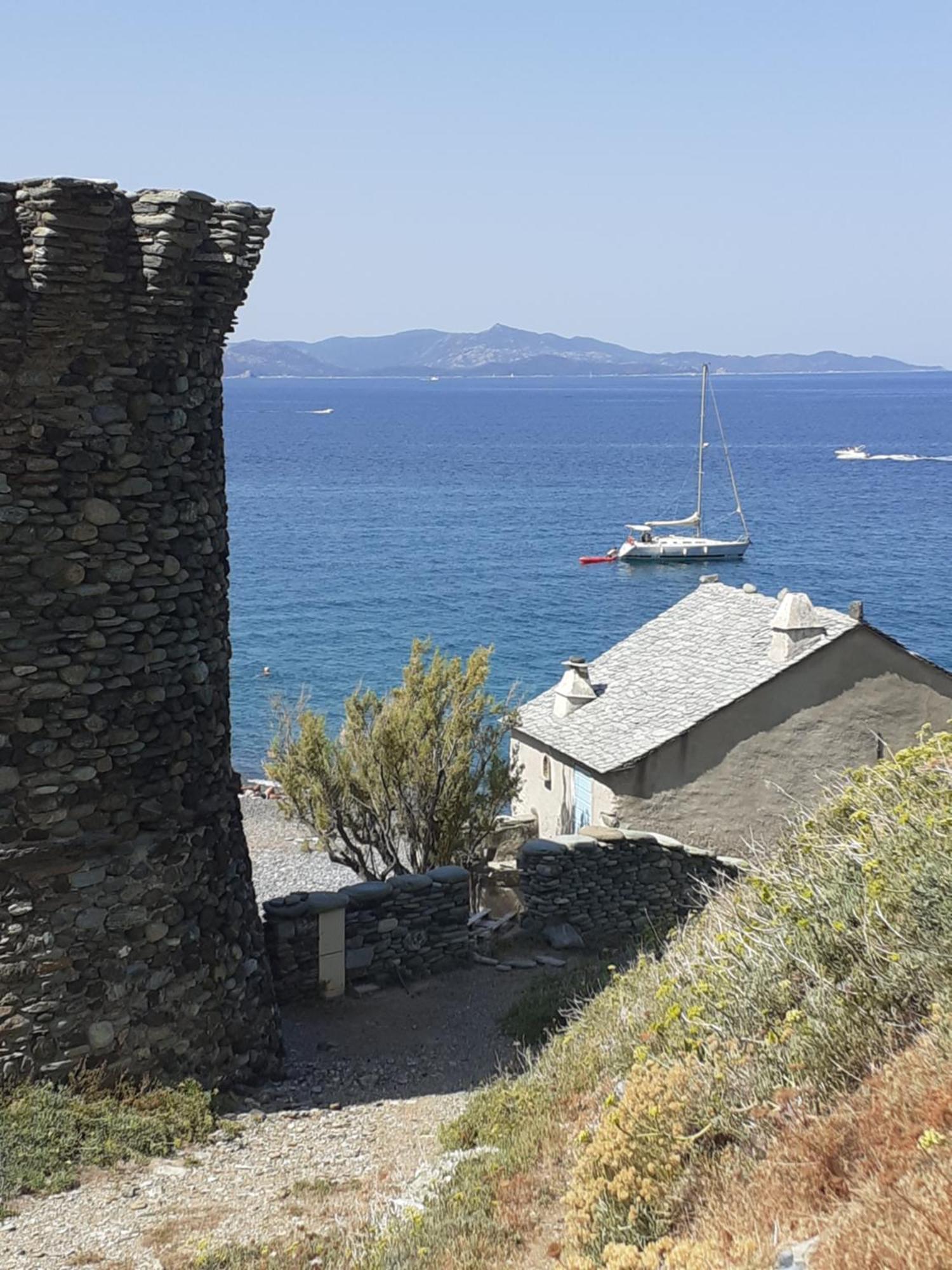 Cap Corse - Maison A 500M De La Plage Grillasca Exteriör bild